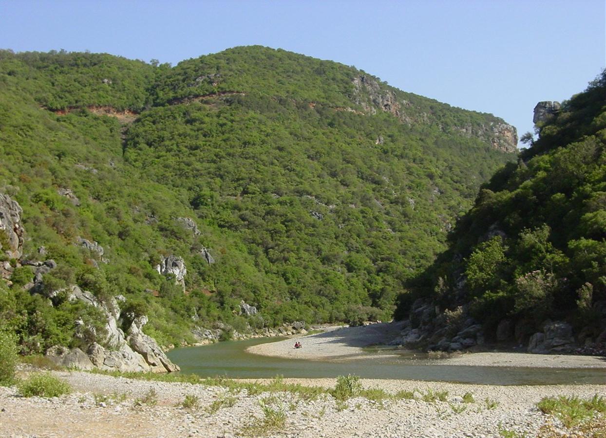 Хостел Caiat Lounge Refuge Taghzoute Екстер'єр фото